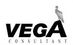 emploi Vega Consultant