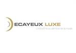 emploi Decayeux Luxe