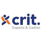 emploi CRIT EXPERTS ET CADRES STRASBOURG