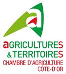 Stage d'expérimentation en Viticulture - Caractérisation Agronomique d'un Conservatoire Pinot/ Chardonnay
